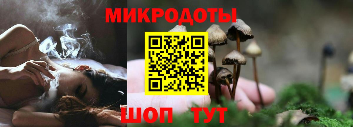 Киржач  Галлюциногенные грибы Psilocybine cubensis  Вход с VPN 