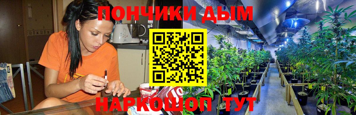 Киржач  Каннабис план  Вход с VPN  Конопля сатива 